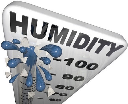 (Image) Humidity Guage