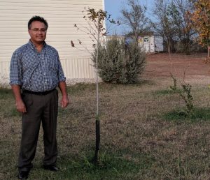(Image) Humberto Aguilar stands next to the tree he planted, for which he received a $50 rebate.