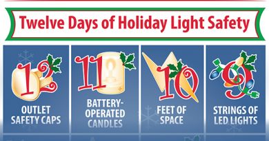 (Image) Twelve Days of Holiday Lights Safety