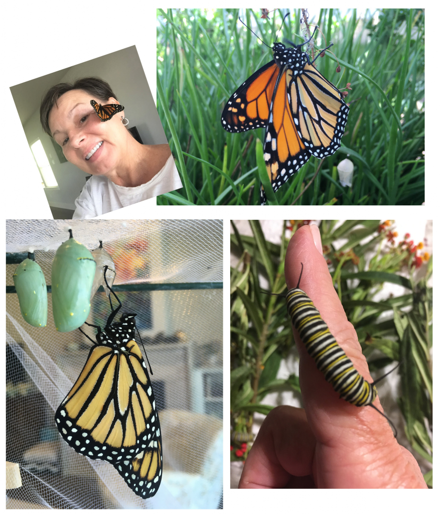 Sherry Spurlock with her butterflies