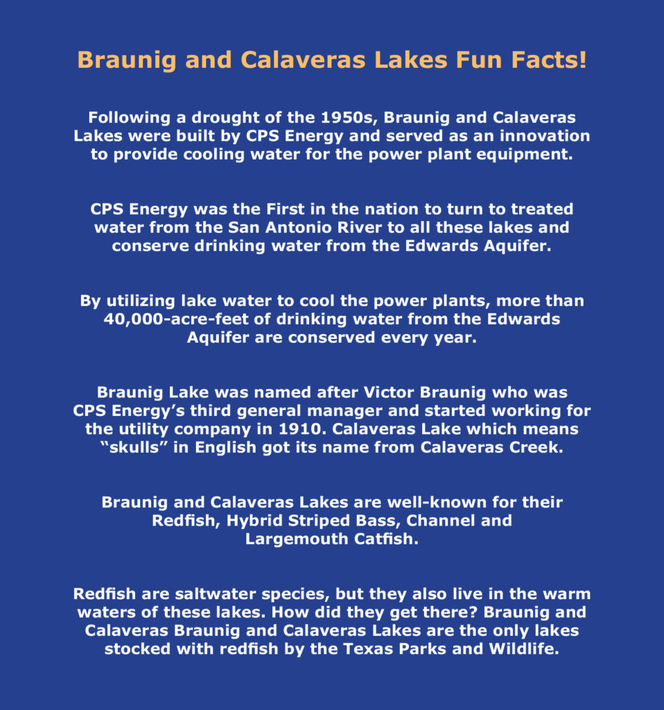 Graphic of Braunig and Calaveras Lake Fun Facts