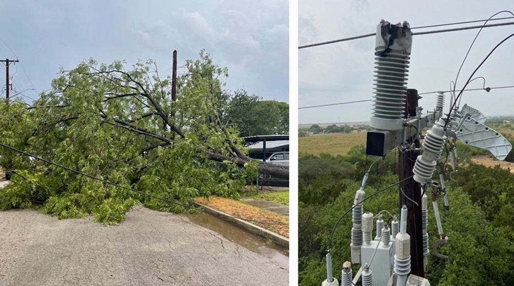 A photo of fallen tree and damaged transformer and fallen tree