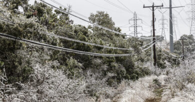 A photo of frozen power lines in San Antonio
