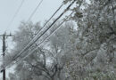 A photo of frozen power lines during Winter Storm in San Antonio