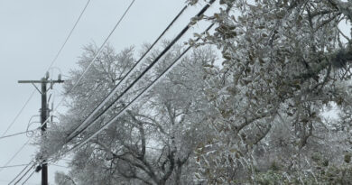 A photo of frozen power lines during Winter Storm in San Antonio